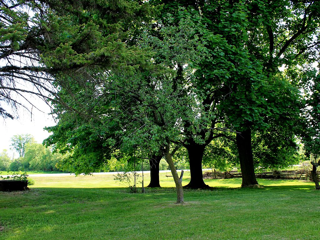 Sixteenth slide image