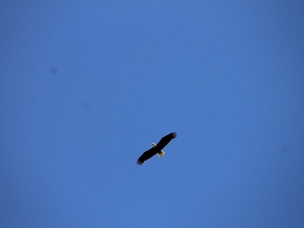  Twenty-first slide image