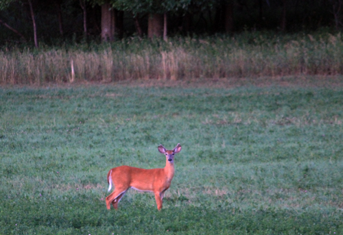 Twenty-third slide image