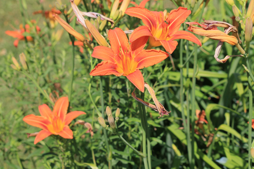  Twenty-second slide image